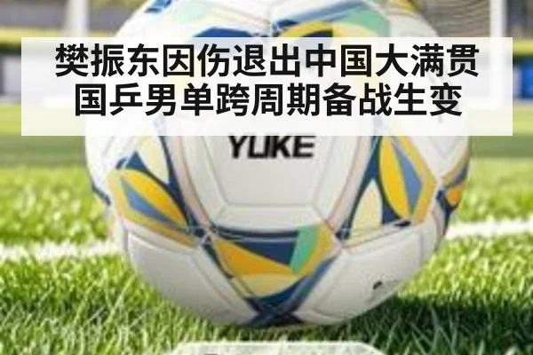 樊振东因伤退出中国大满贯 国乒男单跨周期备战生变